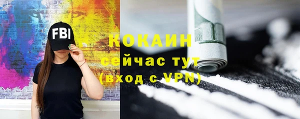 шишки Козельск