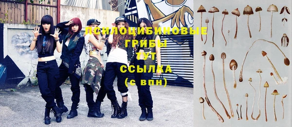 шишки Козельск