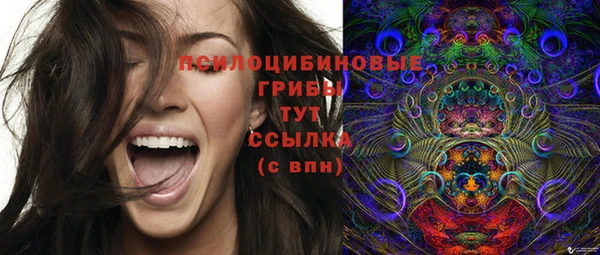 шишки Козельск