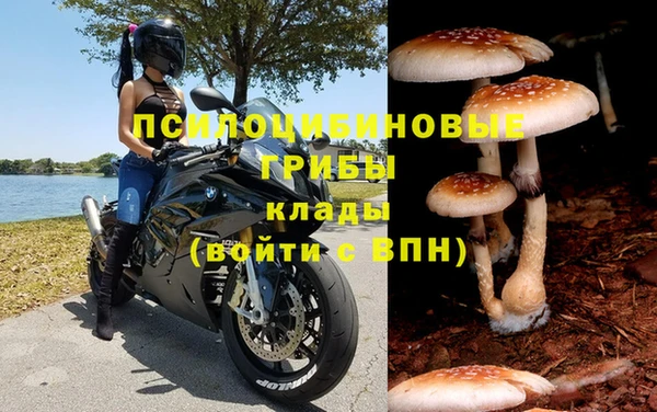 COCAINE Козловка