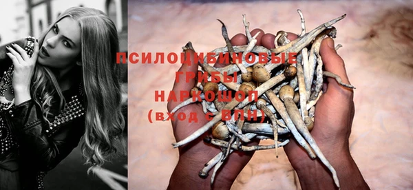шишки Козельск