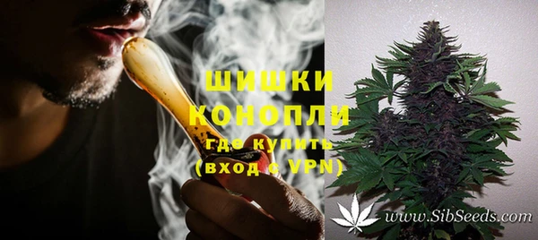 шишки Козельск