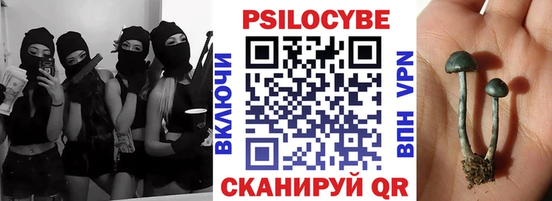 Купить закладки  Калязин  Псилоцибиновые грибы Psilocybine cubensis 